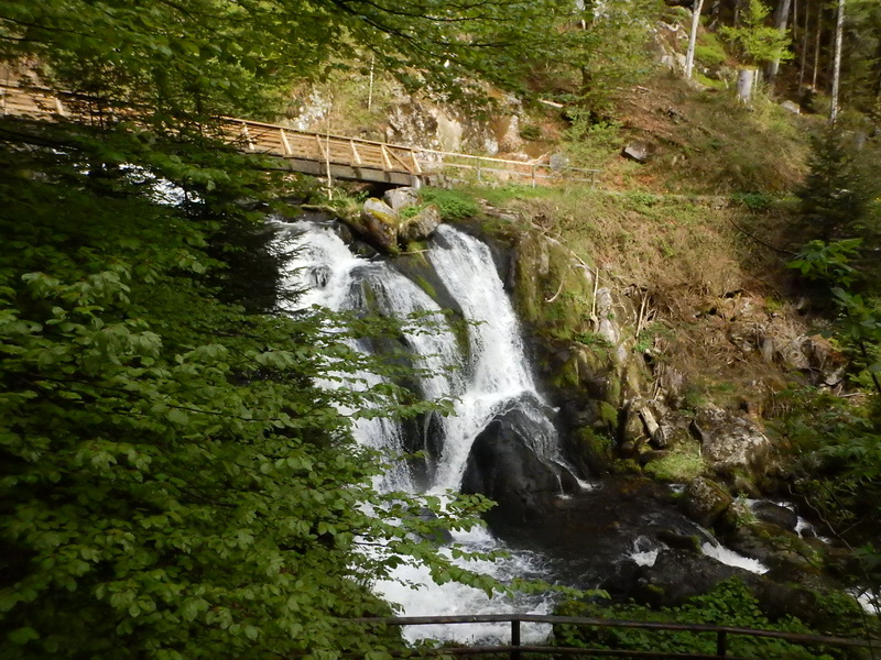 DSCN0816_Bildgröße ändern.JPG