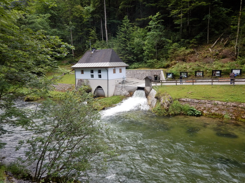 DSCN1471_Bildgröße ändern.JPG