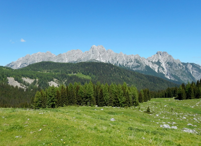 DSCN1508_Bildgröße ändern.JPG