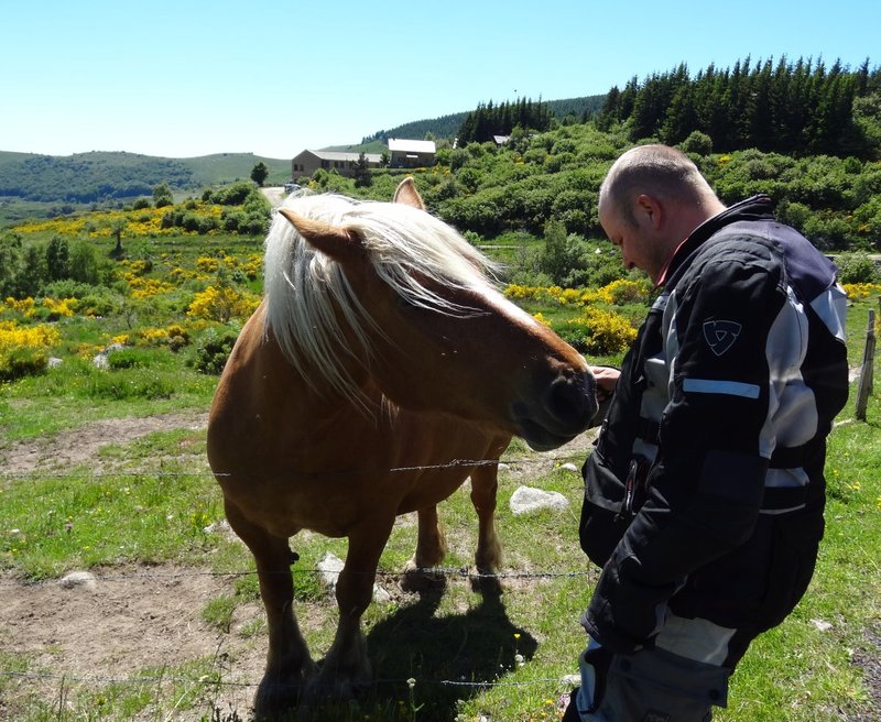 Boro und Pferd.jpg