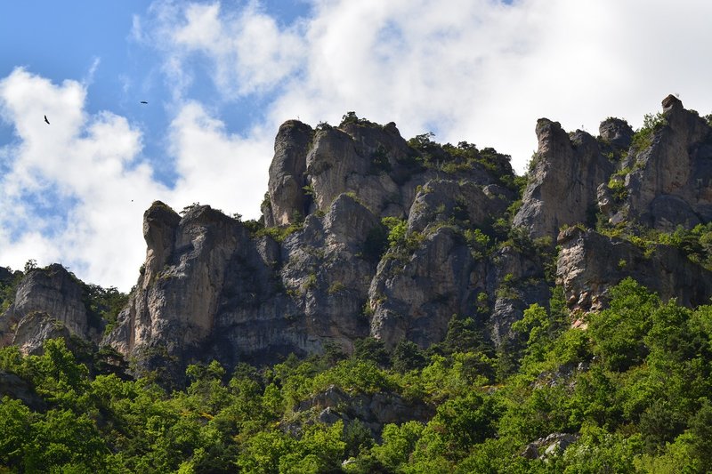 Die Geierschlucht-Gorge de la Jonte.jpg