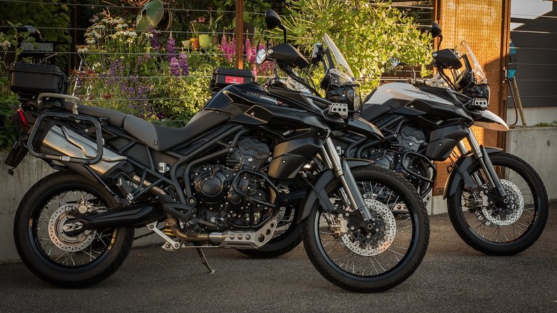 Tiger 800 XC B&W 1_1200.jpg