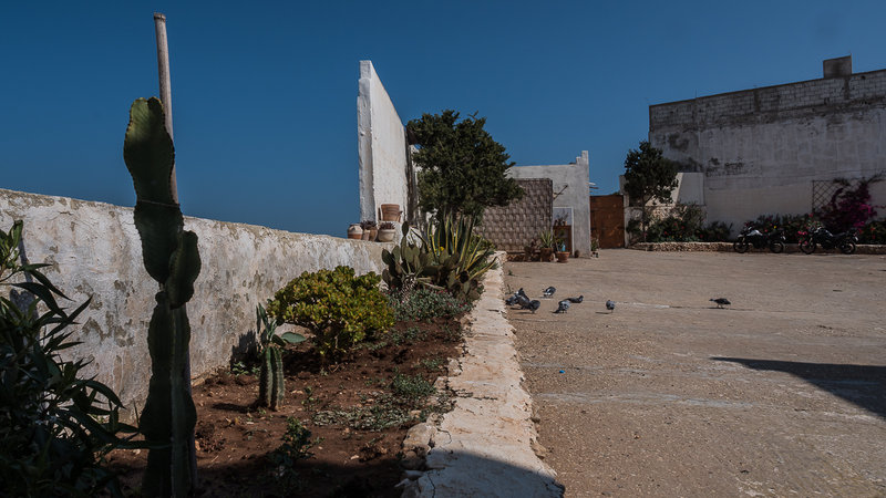04 Maison d'hotes Dar Aicha.jpg