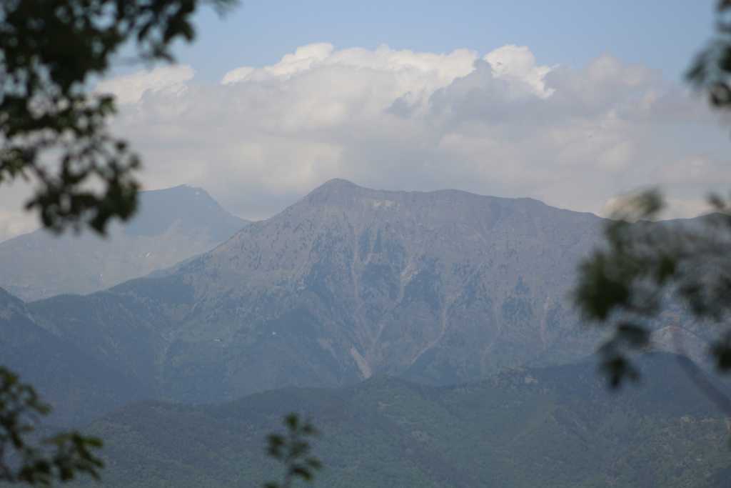IMG_0774.JPG
