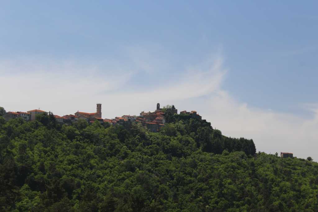 IMG_0772.JPG