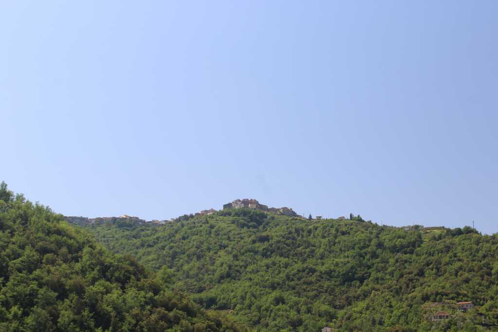IMG_0765.JPG