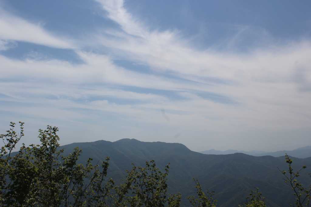 IMG_0784.JPG