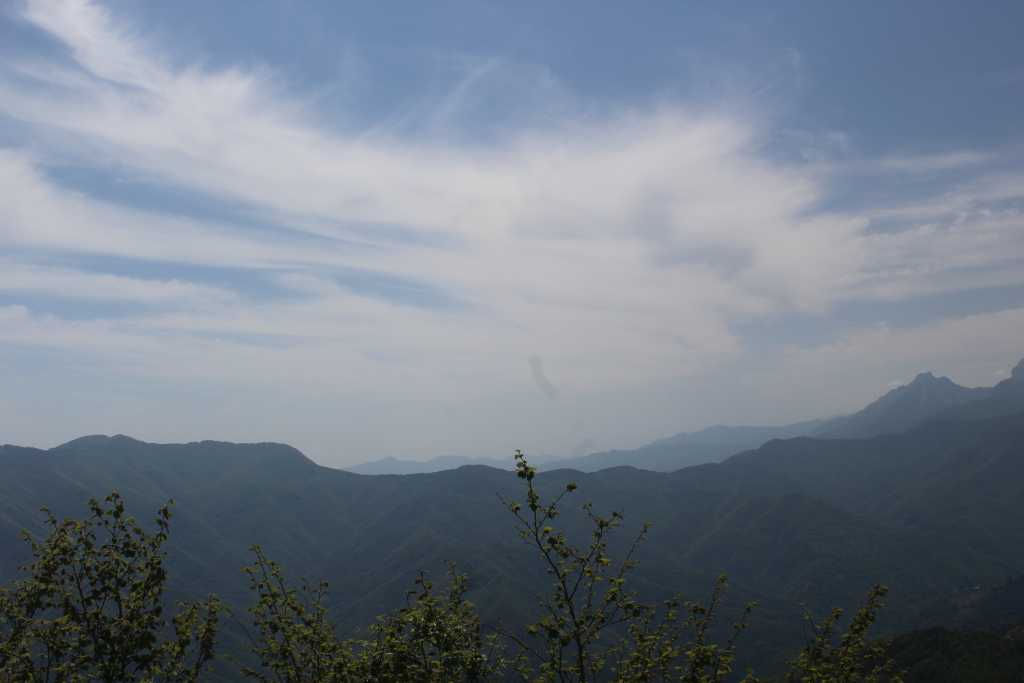 IMG_0783.JPG