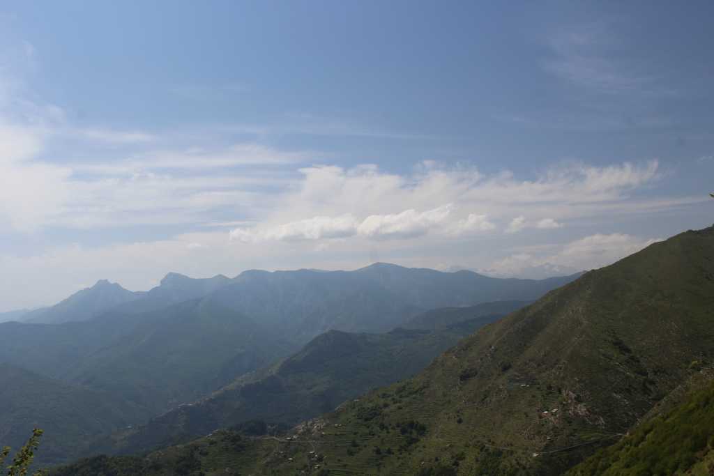 IMG_0782.JPG