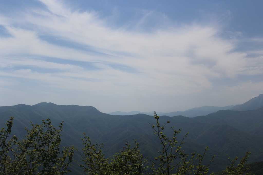 IMG_0780.JPG