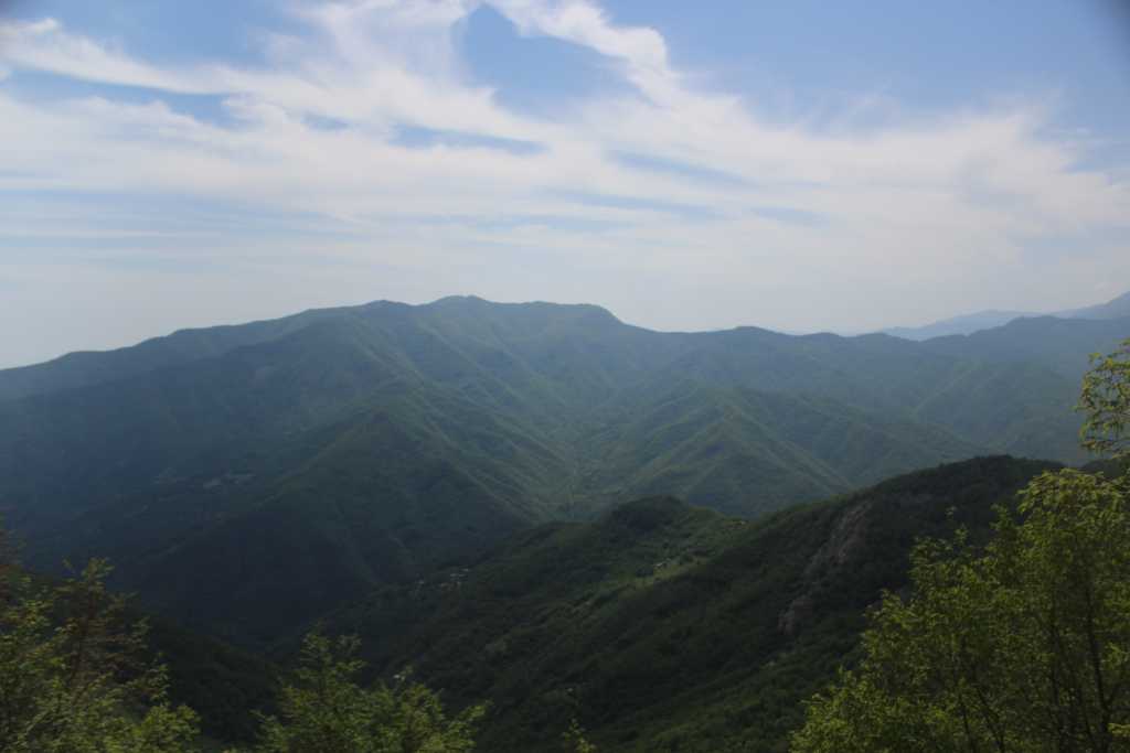 IMG_0778.JPG
