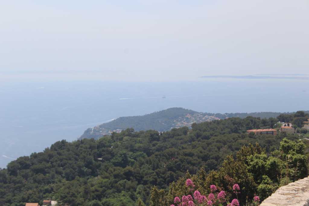 IMG_0807.JPG