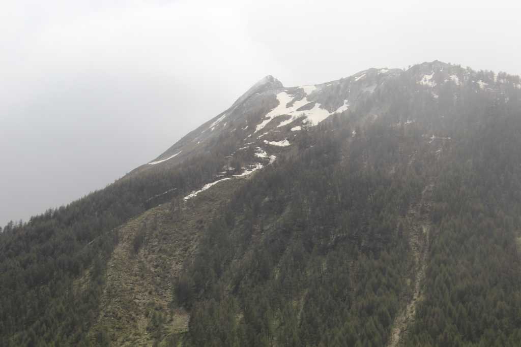 IMG_0869.JPG