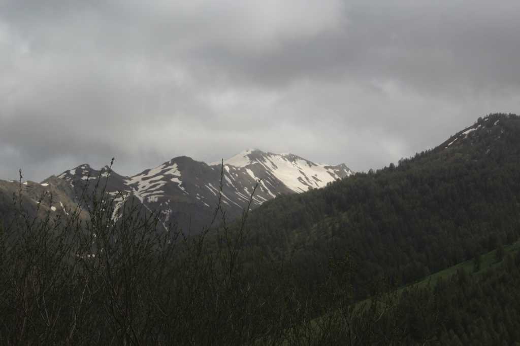 IMG_0868.JPG