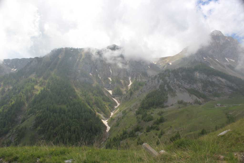 IMG_0919.JPG