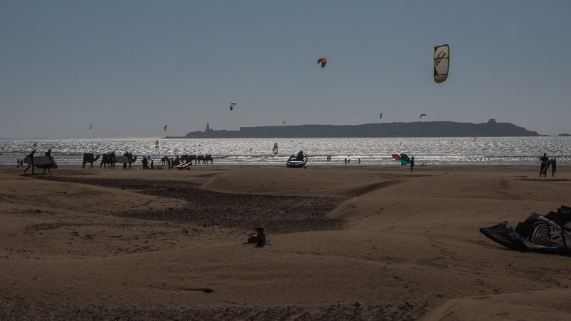 04 Essaouira.jpg