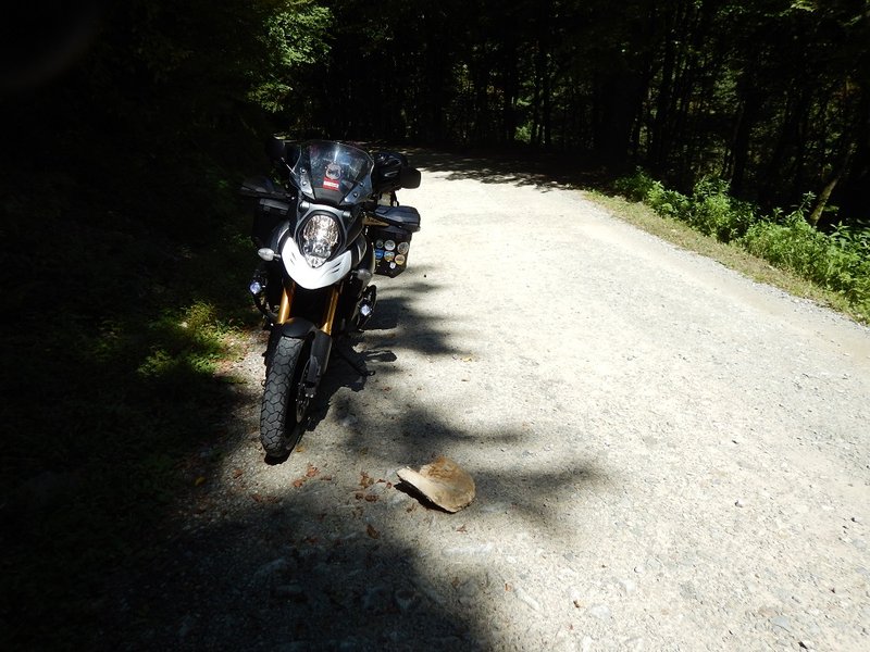 DSCN1855.JPG
