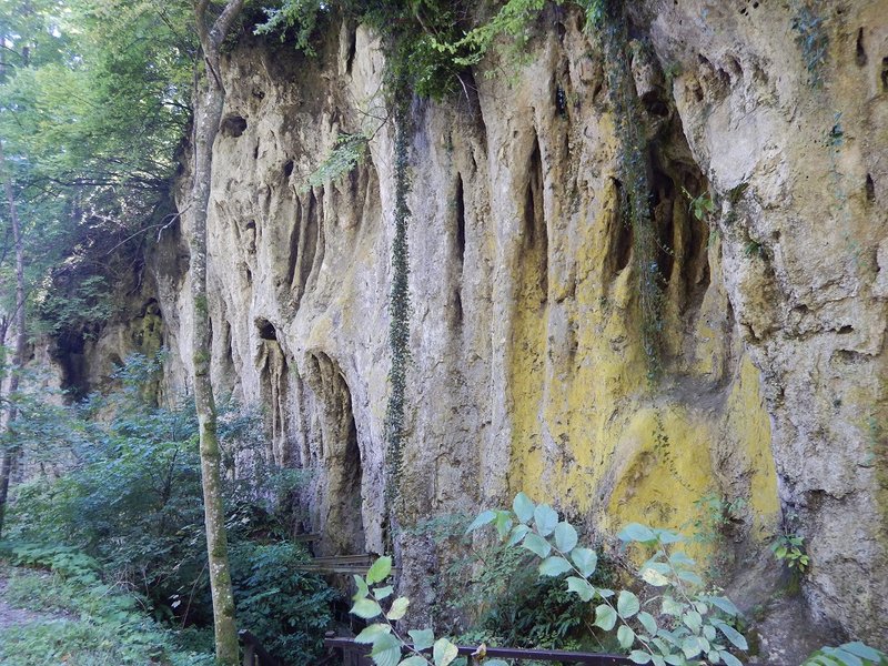 DSCN1858.JPG
