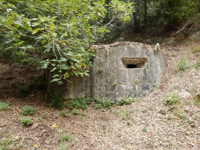 DSCN2377_Bildgröße ändern.JPG