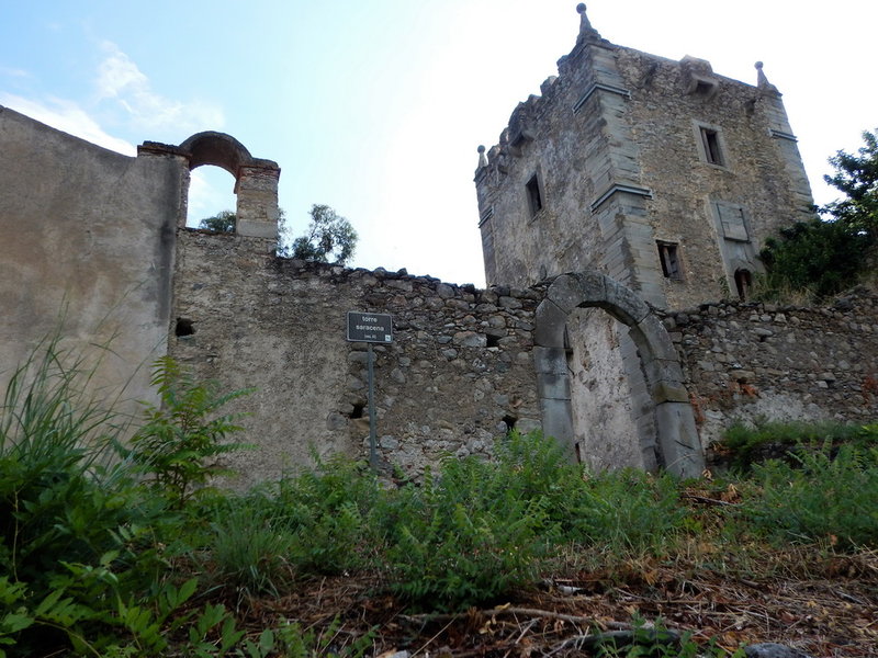 DSCN2393_Bildgröße ändern.JPG