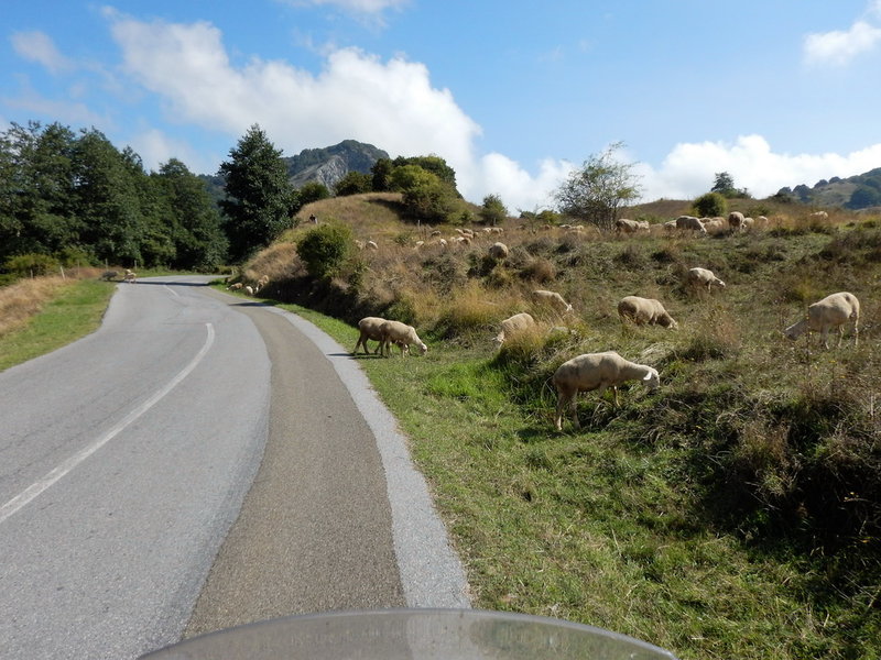 DSCN2691_Bildgröße ändern.JPG