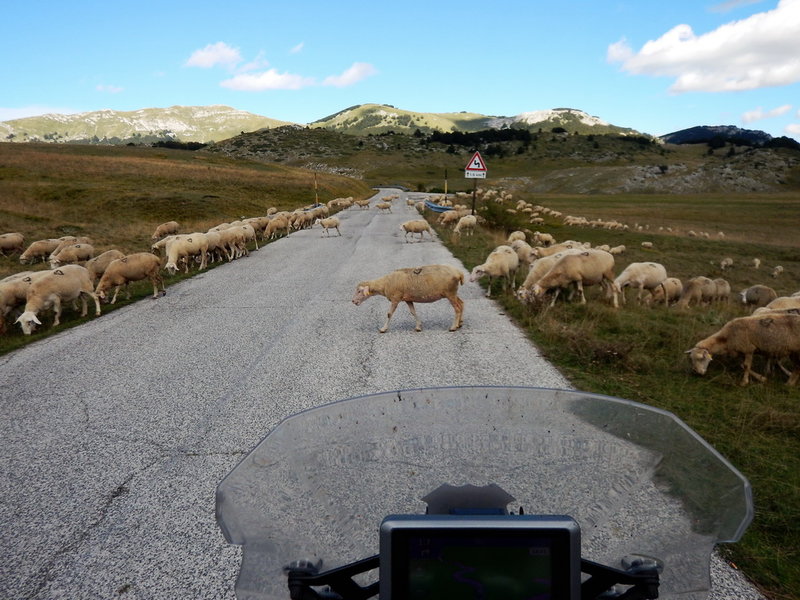 DSCN2976_Bildgröße ändern.JPG
