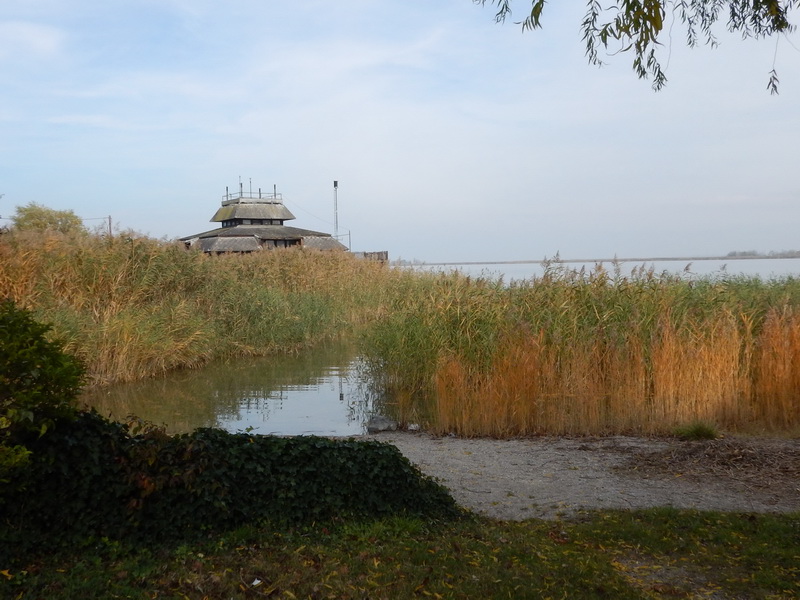 DSCN3070_Bildgröße ändern.JPG