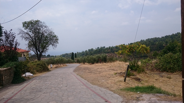 2016_tag8-11_10.jpg