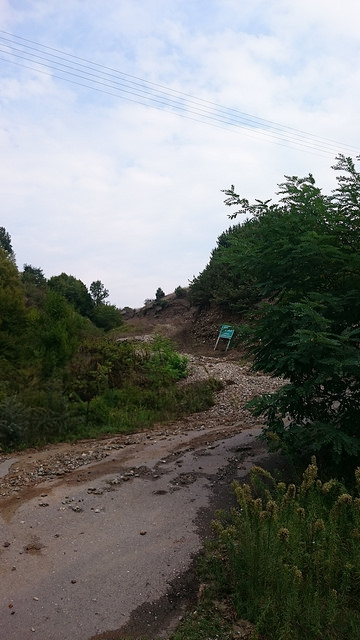 2016_tag12_02.jpg