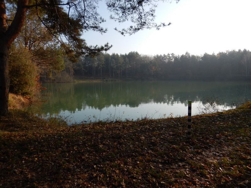 DSCN3090_Bildgröße ändern.JPG