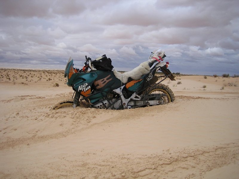 IMG_0660 Douz.jpg (126.46 KiB) 2902 mal betrachtet Feines Korn