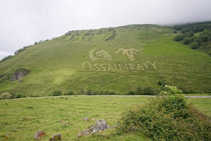 6.JPG (360.13 KiB) 2253 mal betrachtet Das ist ein regionaler Ziegenkäse