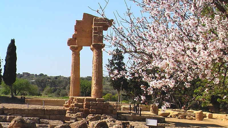 IMGA00450747.JPG
