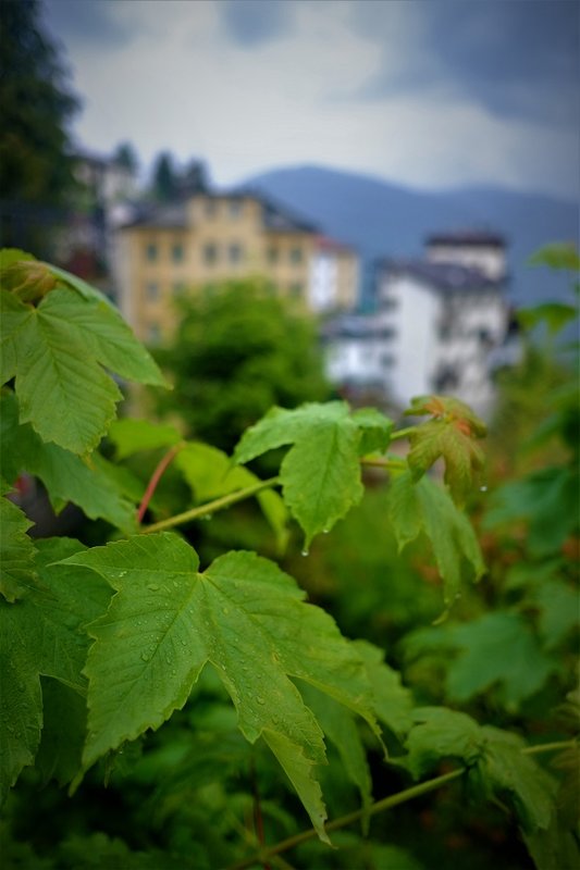 DSCF6464.JPG