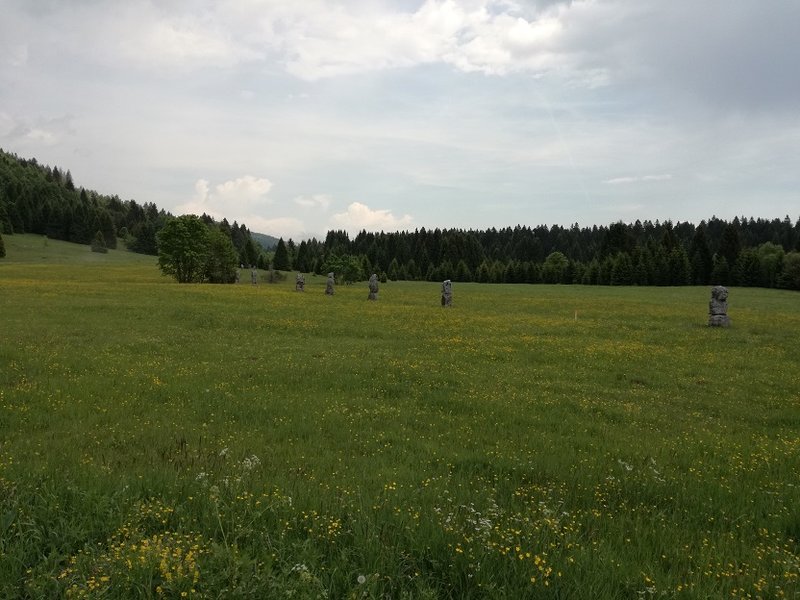 Säulen2.jpg