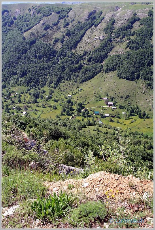 IMG_0165kompr.jpg