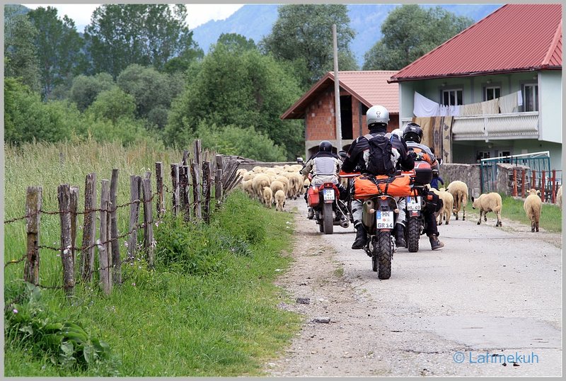 IMG_0215kompr.jpg