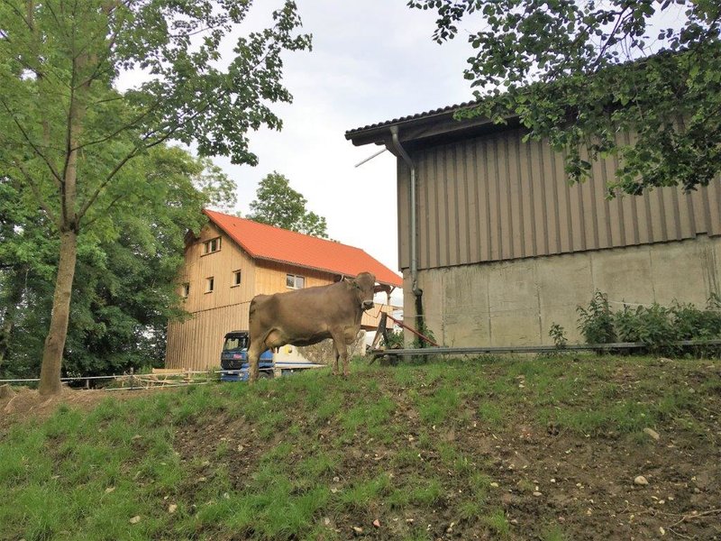 IMG_0099.JPG (199.09 KiB) 3703 mal betrachtet Uttenhofen