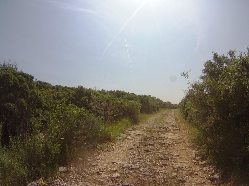 FILE0022-1.jpg