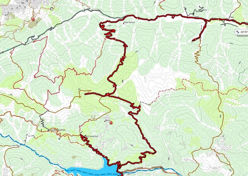 Ielma Detail.jpg