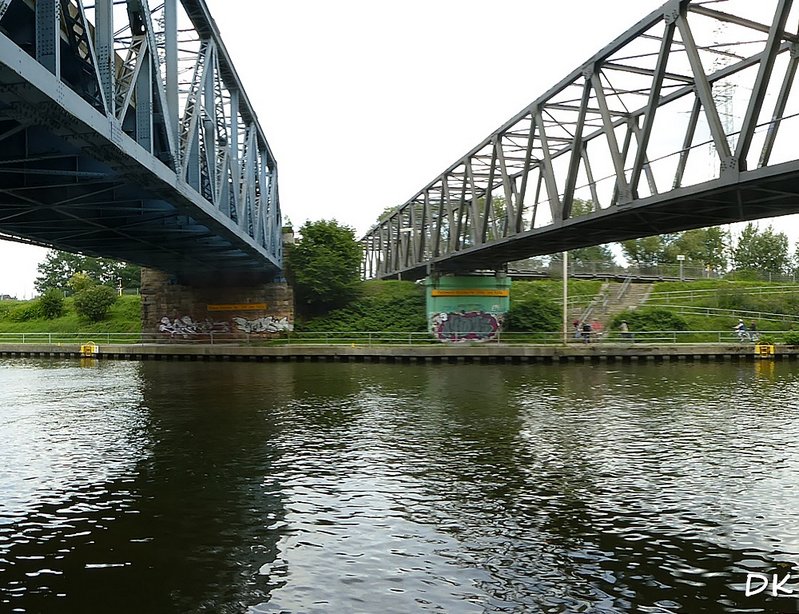 P1040851.jpg