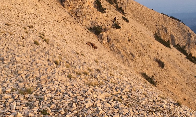 IMG_991.jpg