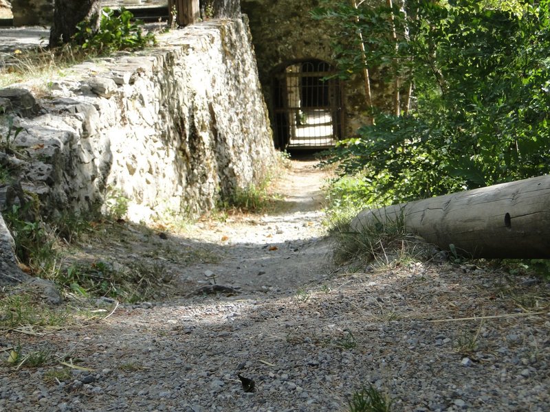 comp_DSC01163.jpg
