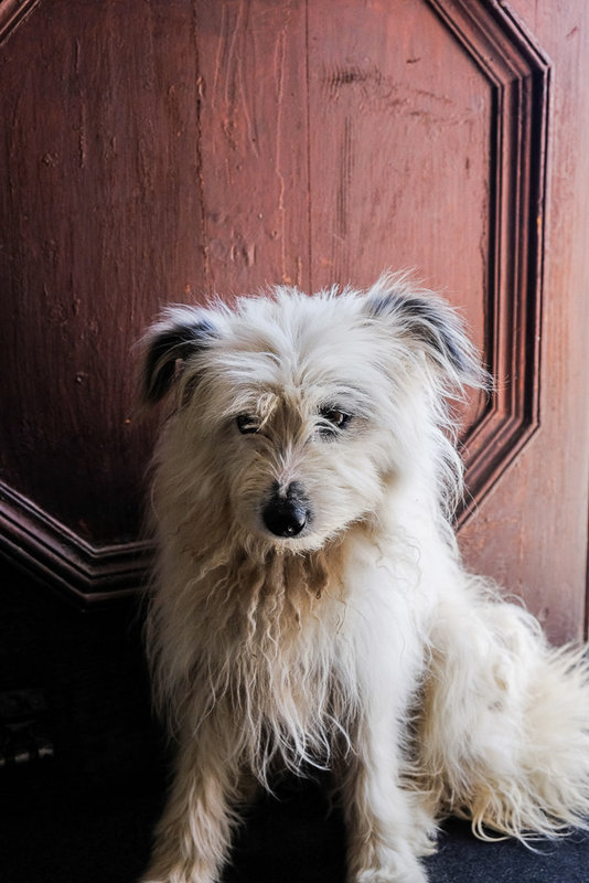 XTCF9390.jpg (256.09 KiB) 4368 mal betrachtet Die Besucherin