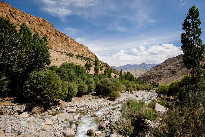 DSCF1106.jpg