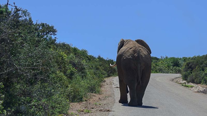 Afrika (3 von 20).jpg