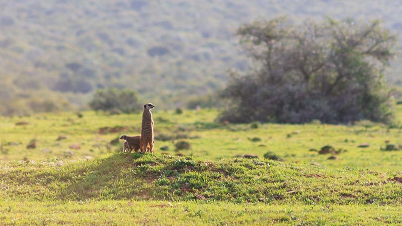 Afrika (17 von 20).jpg