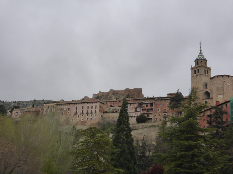 P1010831.jpg