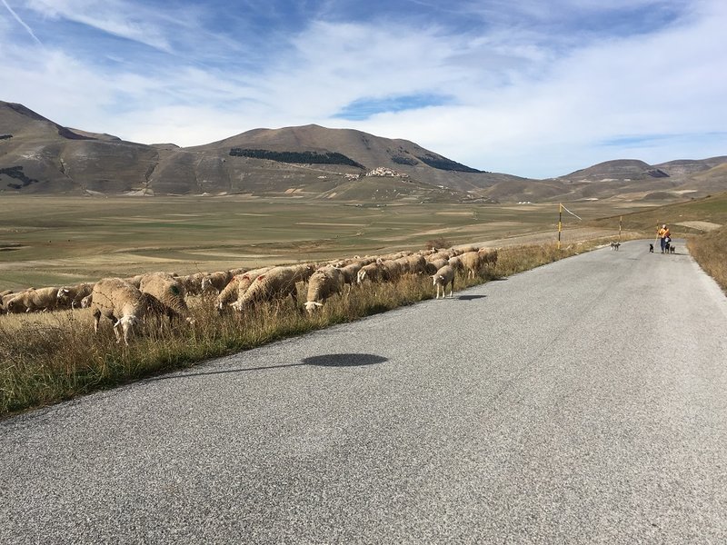 Blick auf Castelluccio - von sieht es echt noch nett aus