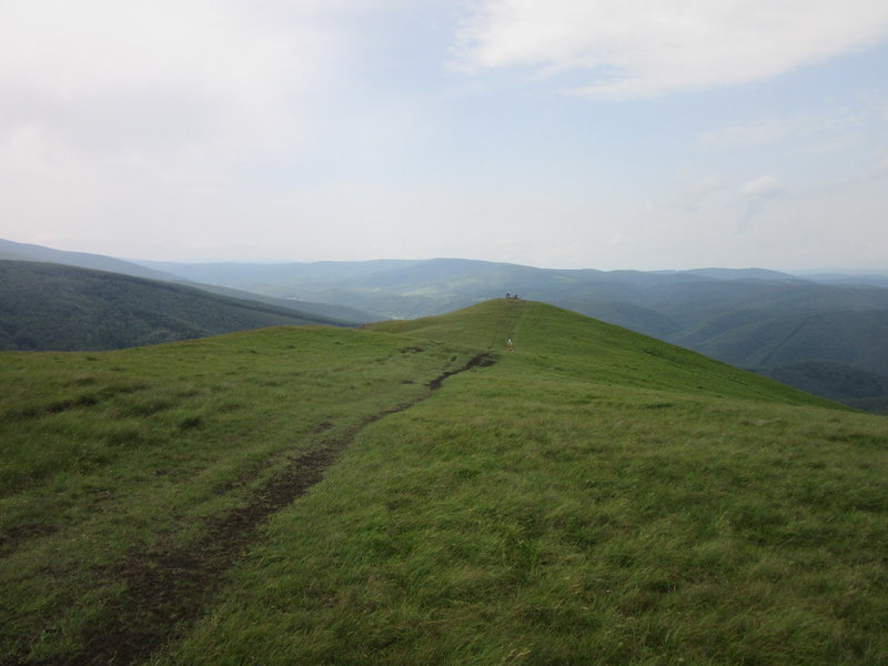 Plateau.jpg